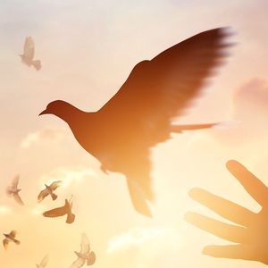 Meet your Posher, Brandi